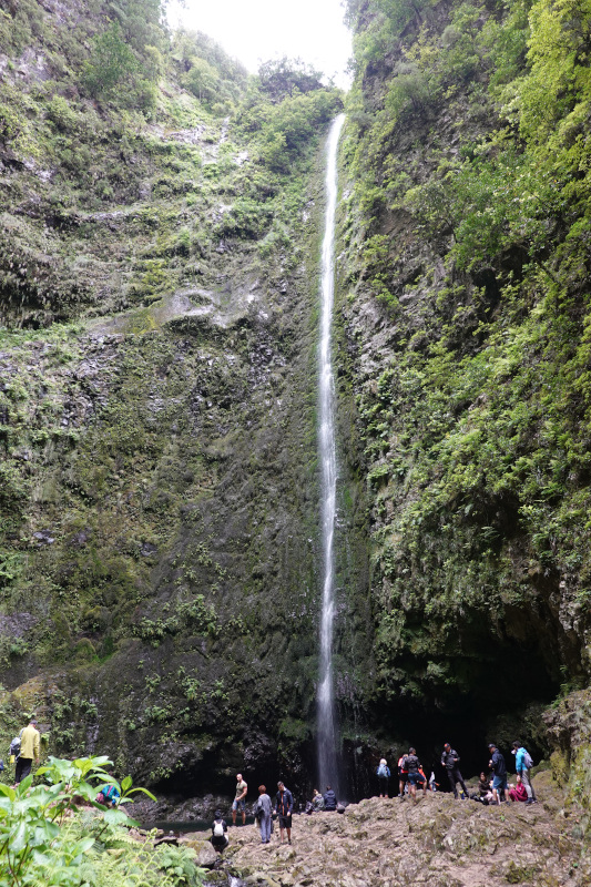 image MADERE_026.jpg