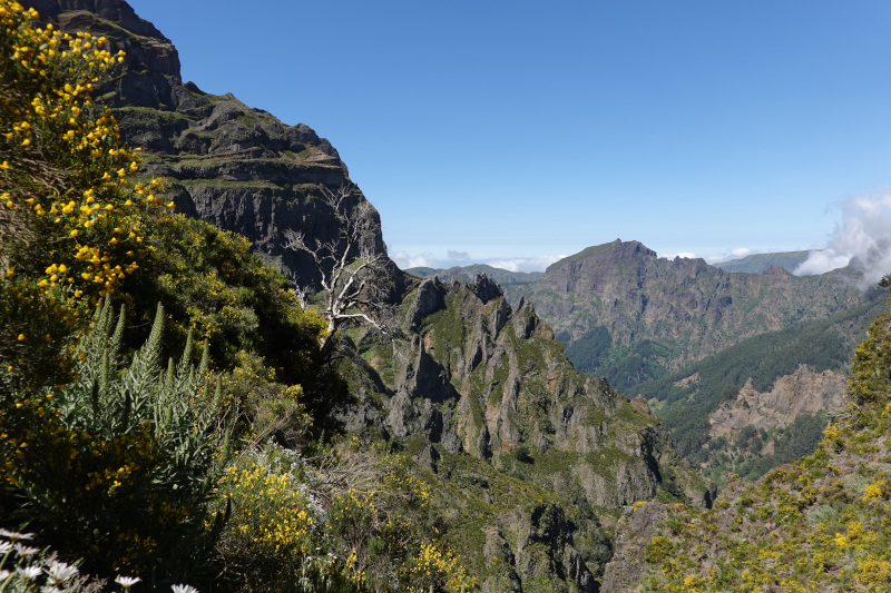 image MADERE_066.jpg