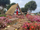 image MADERE_001.jpg