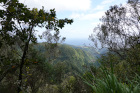 image MADERE_016.jpg