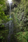 image MADERE_021.jpg