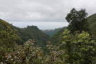 image MADERE_022.jpg
