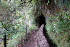 image MADERE_024.jpg