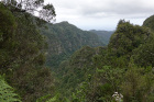 image MADERE_025.jpg