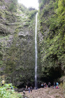 image MADERE_026.jpg