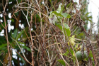 image MADERE_033.jpg