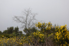 image MADERE_046.jpg