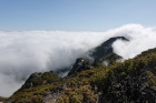 image MADERE_048.jpg