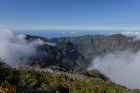 image MADERE_049.jpg