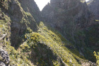 image MADERE_064.jpg