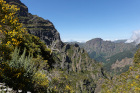 image MADERE_066.jpg