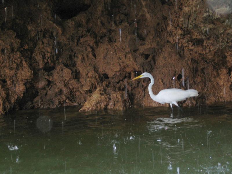 Image Mex_057.JPG