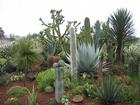 Image Mex_026.JPG