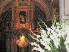 Image Mex_029.JPG