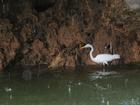 Image Mex_057.JPG