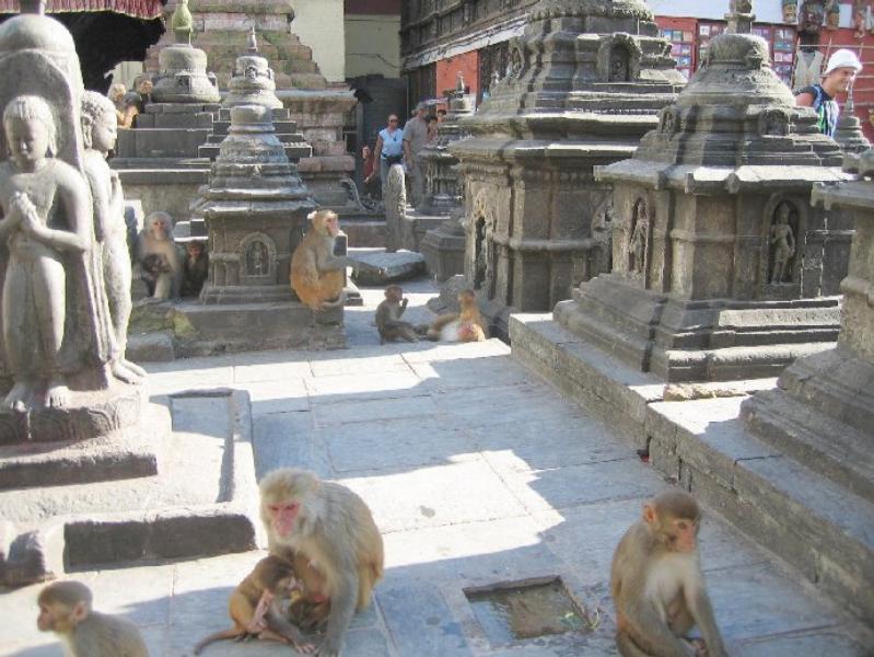 Image Nepal_04.jpg