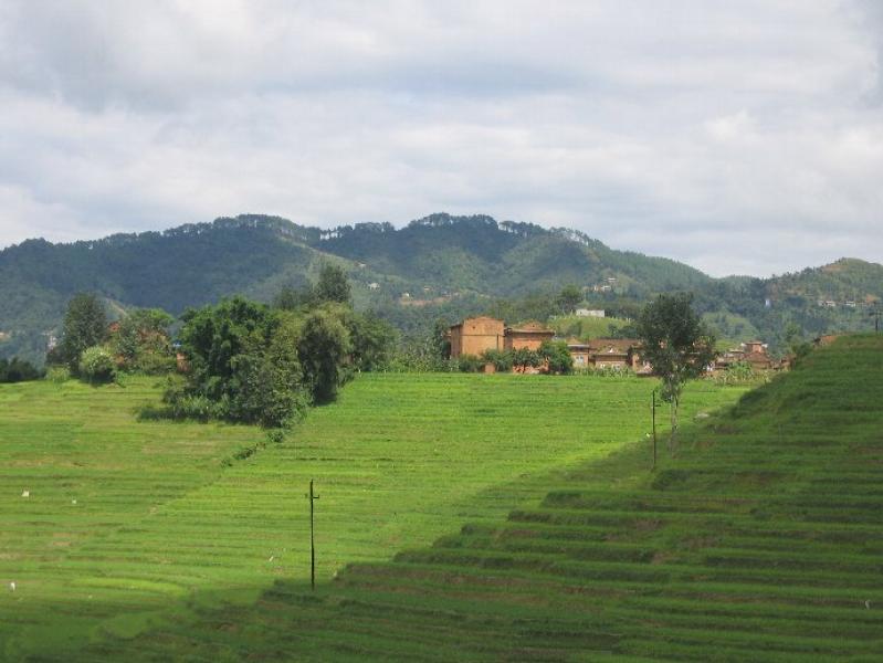 Image Nepal_31.jpg