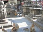 Image Nepal_04.jpg