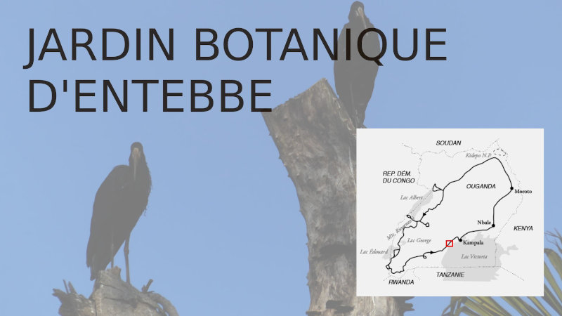 image OUGANDA_001.jpg