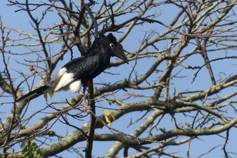 image OUGANDA_005.jpg