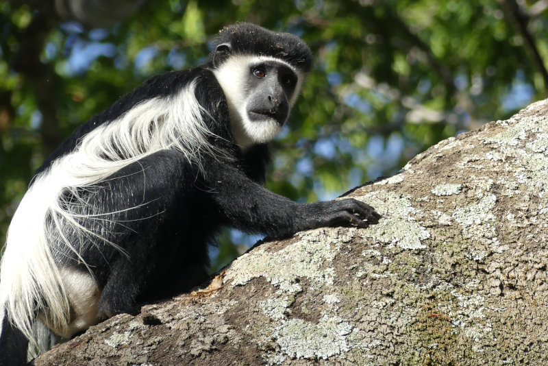 image OUGANDA_007.jpg