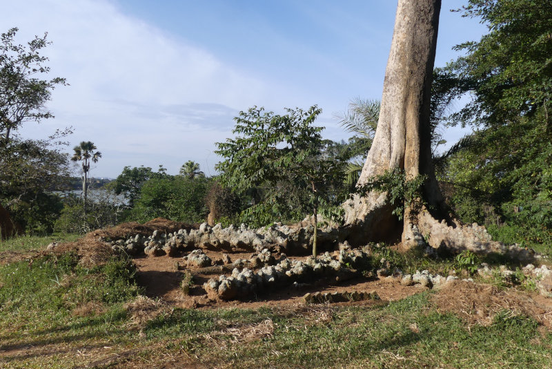 image OUGANDA_009.jpg