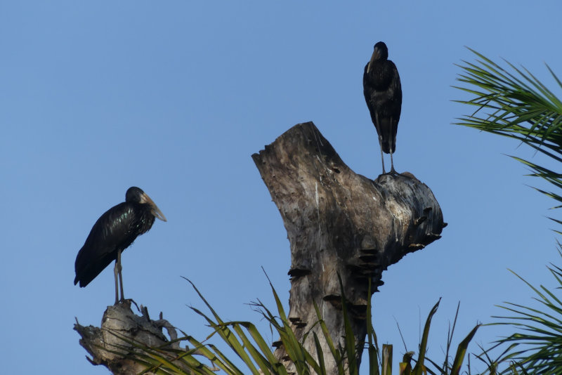 image OUGANDA_011.jpg