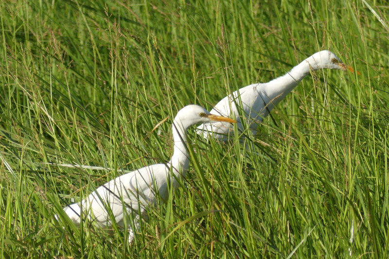 image OUGANDA_013.jpg