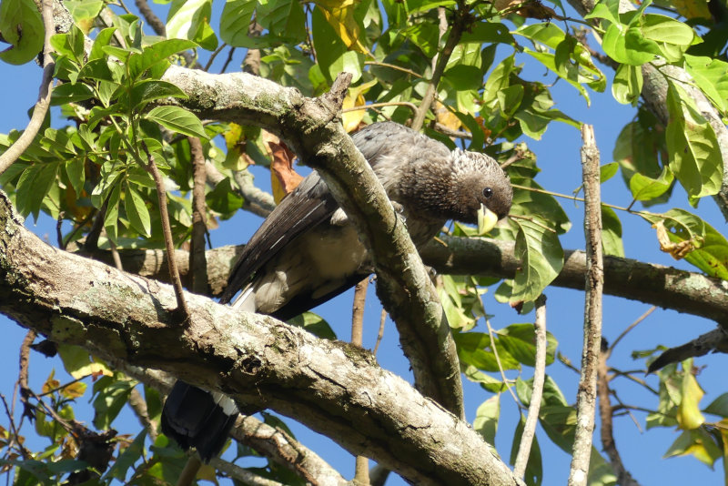 image OUGANDA_014.jpg