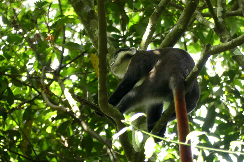 image OUGANDA_016.jpg