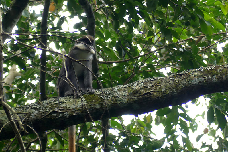 image OUGANDA_017.jpg