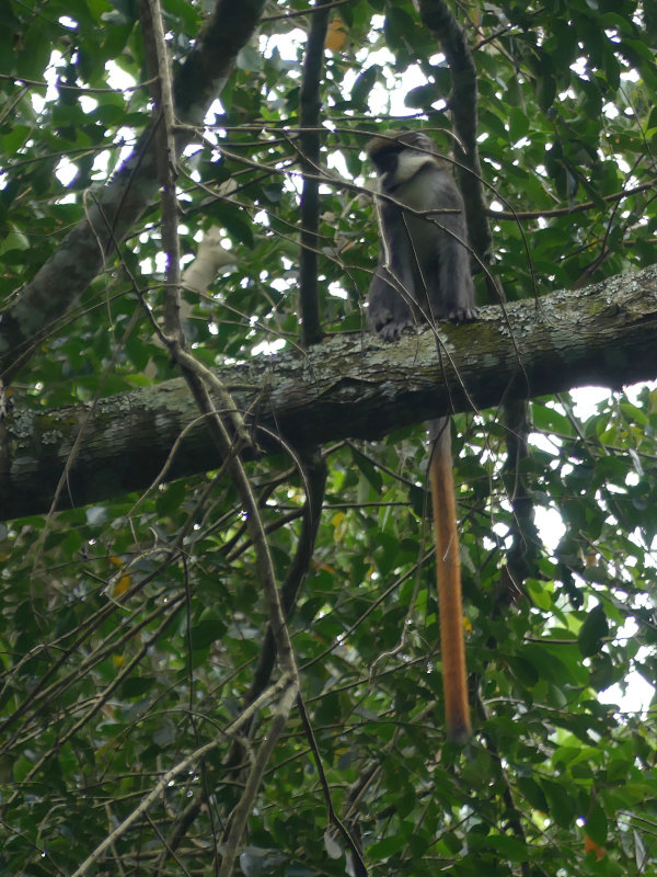 image OUGANDA_018.jpg