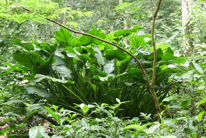 image OUGANDA_019.jpg