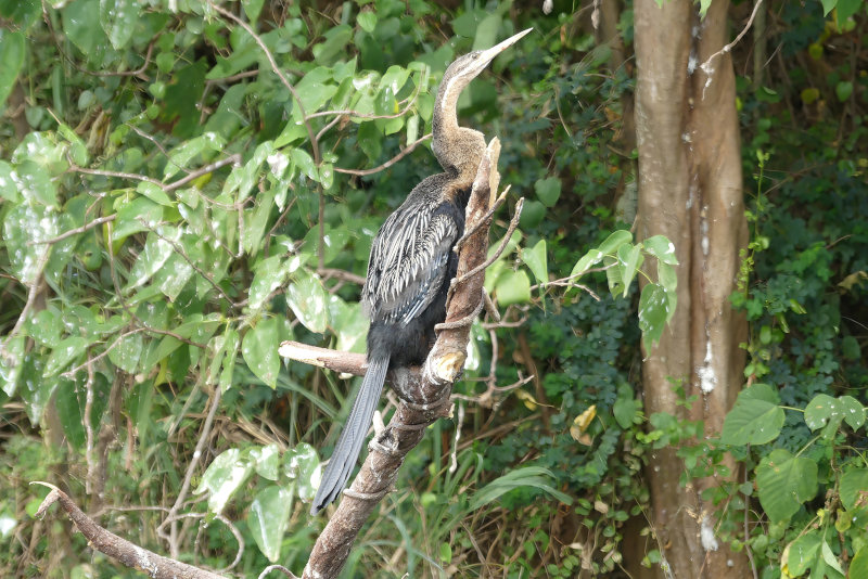 image OUGANDA_023.jpg