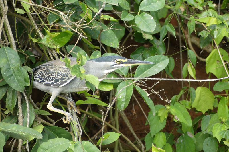 image OUGANDA_025.jpg