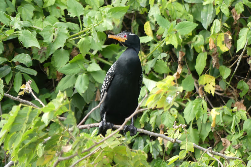 image OUGANDA_026.jpg