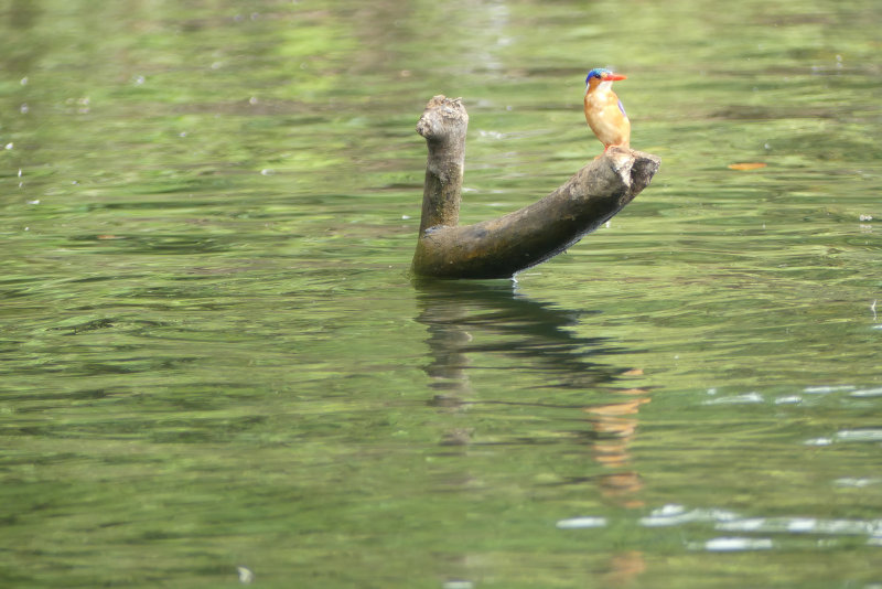 image OUGANDA_027.jpg
