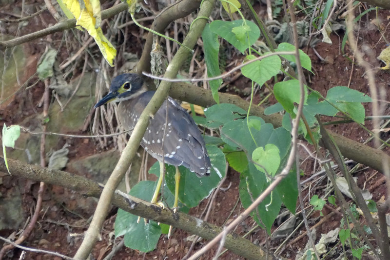image OUGANDA_032.jpg