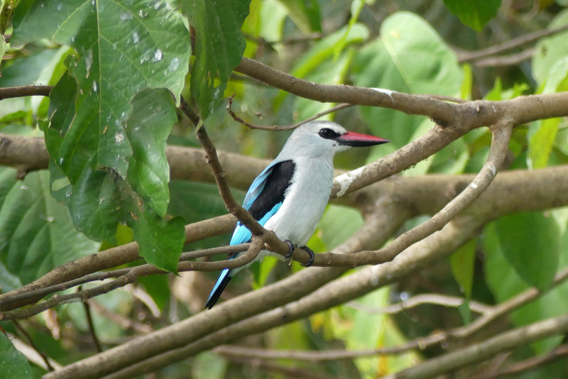 image OUGANDA_036.jpg