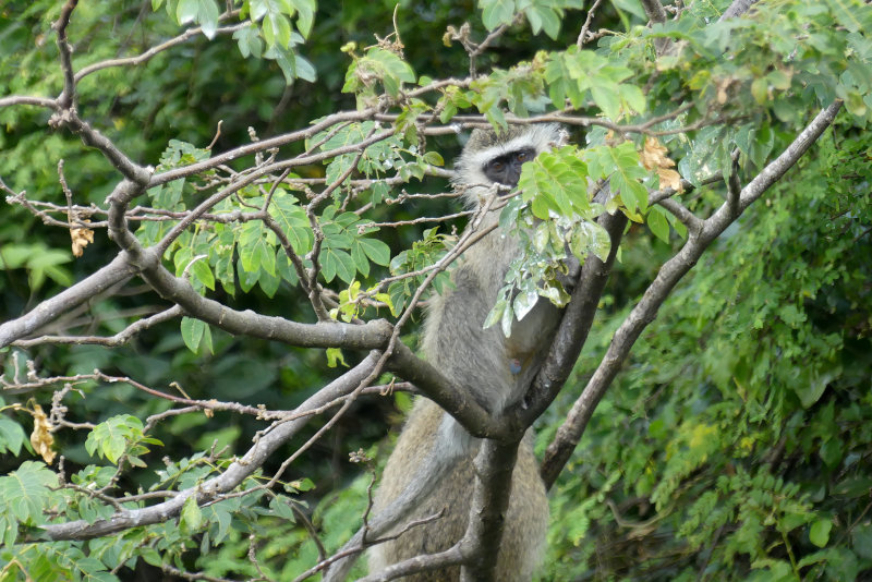 image OUGANDA_038.jpg