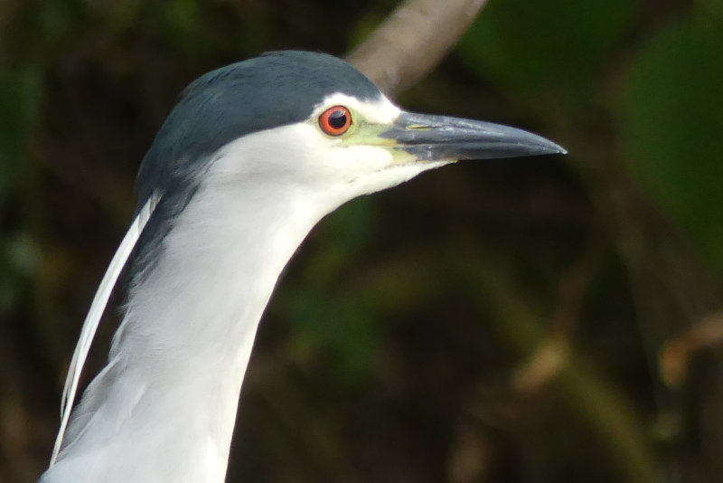image OUGANDA_042.jpg