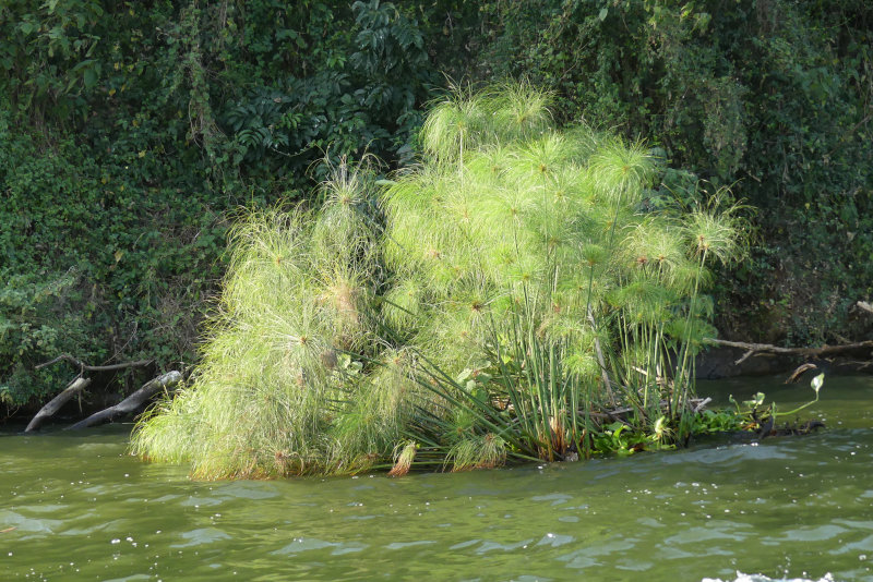 image OUGANDA_044.jpg