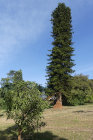 image OUGANDA_003.jpg
