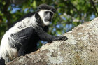 image OUGANDA_007.jpg