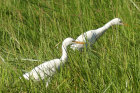 image OUGANDA_013.jpg