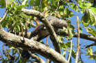 image OUGANDA_014.jpg