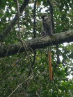 image OUGANDA_018.jpg