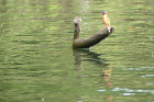 image OUGANDA_027.jpg