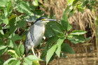 image OUGANDA_029.jpg