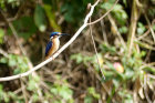 image OUGANDA_031.jpg